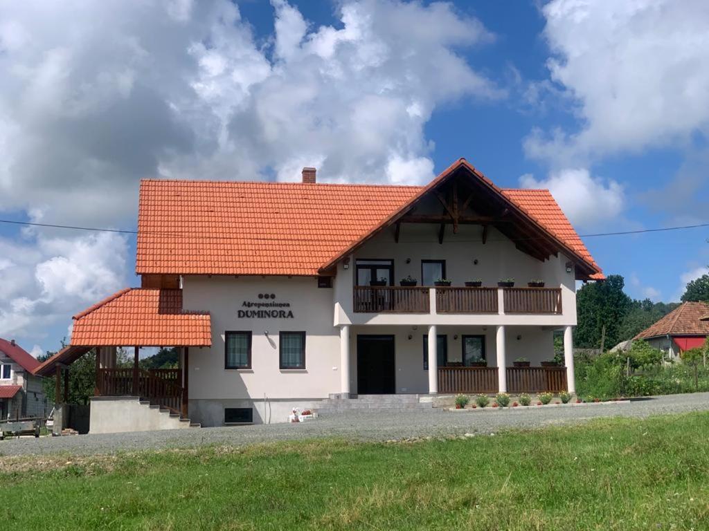 Agropensiunea Duminora Lăschia Extérieur photo